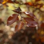 Fot. Wiktor Taszłow - Radio Kielce