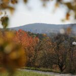 16.10.2019. Kielce. Złota polska jesień / Wiktor Taszłow / Radio Kielce