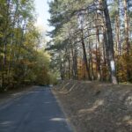 16.10.2019. Kielce. Złota polska jesień / Wiktor Taszłow / Radio Kielce