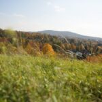 16.10.2019. Kielce. Złota polska jesień / Wiktor Taszłow / Radio Kielce