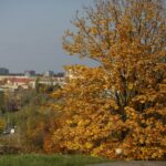 16.10.2019. Kielce. Złota polska jesień / Wiktor Taszłow / Radio Kielce