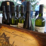 17.10.2019. Opatów. Wizyta ambasadorów w winnicy Brzostowiczów / Emilia Sitarska / Radio Kielce