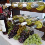 17.10.2019. Opatów. Wizyta ambasadorów w winnicy Brzostowiczów / Emilia Sitarska / Radio Kielce