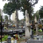 Cmentarze jako księgi minionych pokoleń
