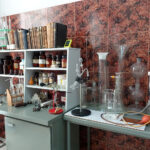 26.10.2019. Ostrowiec Świętokrzyski. Dzień buraka cukrowego w Izbie Pamięci Cukrownictwa w Częstocicach / Emilia Sitarska / Radio Kielce