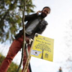 Kielce. 21.10.2019. Drzewo tlenolubne będzie rosło przed redakcją Radia Kielce / Wiktor Taszłow / Radio Kielce