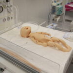 Kielce. 23.10.2019. Centrum Symulacji Medycznej na Wydziale Lekarskim i Nauk o Zdrowiu UJK / Wiktor Taszłow / Radio Kielce