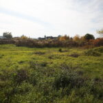 15.10.2019. Kielce. Działka przy al. Jerzego Szajnowicza-Iwanowa / Wiktor Taszłow / Radio Kielce