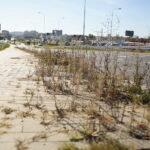Kielce. 17.10.2019. Trawa i chwasty, wyrastające z chodników na „Węźle Żelazna” / Wiktor Taszłow / Radio Kielce