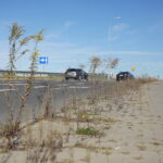 Kielce. 17.10.2019. Trawa i chwasty, wyrastające z chodników na „Węźle Żelazna” / Wiktor Taszłow / Radio Kielce