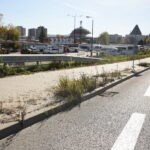 Kielce. 17.10.2019. Trawa i chwasty, wyrastające z chodników na „Węźle Żelazna” / Wiktor Taszłow / Radio Kielce