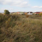 Chęciny. 16.10.2019. Teren pod budowę Parku Miejskiego w Chęcinach / Wiktor Taszłow / Radio Kielce