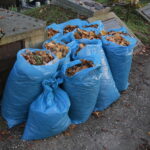 26.10.2019 Kielce. Sprzątanie nagrobków / Wiktor Taszłow / Radio Kielce