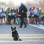 26.10.2019 Nowa Słupia. Górski Maraton Świętokrzyski / Wiktor Taszłow / Radio Kielce