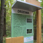 Cedzyna. 03.10.2019. Zagospodarowanie terenu wokół zalewu od strony gminy Masłów / Wiktor Taszłow / Radio Kielce