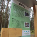 Cedzyna. 03.10.2019. Zagospodarowanie terenu wokół zalewu od strony gminy Masłów / Wiktor Taszłow / Radio Kielce