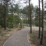 Cedzyna. 03.10.2019. Zagospodarowanie terenu wokół zalewu od strony gminy Masłów / Wiktor Taszłow / Radio Kielce