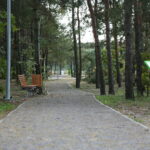 Cedzyna. 03.10.2019. Zagospodarowanie terenu wokół zalewu od strony gminy Masłów / Wiktor Taszłow / Radio Kielce