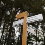 Cedzyna. 03.10.2019. Zagospodarowanie terenu wokół zalewu od strony gminy Masłów / Wiktor Taszłow / Radio Kielce