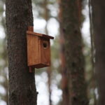 Cedzyna. 03.10.2019. Zagospodarowanie terenu wokół zalewu od strony gminy Masłów / Wiktor Taszłow / Radio Kielce