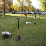 Kielce. 10.10.2019. Studenci posadzili drzewa na kampusie Politechniki / Wiktor Taszłow / Radio Kielce