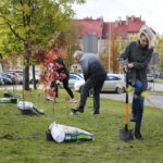 Kielce. 10.10.2019. Studenci posadzili drzewa na kampusie Politechniki / Wiktor Taszłow / Radio Kielce