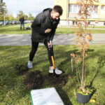 Kielce. 10.10.2019. Studenci posadzili drzewa na kampusie Politechniki / Wiktor Taszłow / Radio Kielce