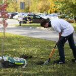Kielce. 10.10.2019. Studenci posadzili drzewa na kampusie Politechniki / Wiktor Taszłow / Radio Kielce