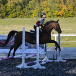 12.10.2019 Oblęgorek. Hubertus Sarmacki / Wiktor Taszłow / Radio Kielce