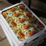 Kielce. 13.10.2019. Obchody XIX Dnia Papieskiego i spotkanie ze stypendystami / Wiktor Taszłow / Radio Kielce