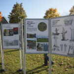 Tokarnia. 13.10.2019. Wystawa i widowisko historycznie w Parku Etnograficznym / Wiktor Taszłow / Radio Kielce