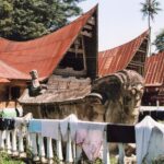 Sumatra / Danuta Rusała / Radio Kielce