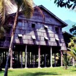 Borneo / Danuta Rasała