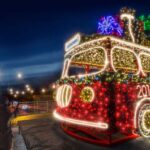 Dekoracje świetlne LED / materiały prasowe