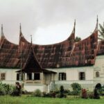 Sumatra / Danuta Rusała / Radio Kielce