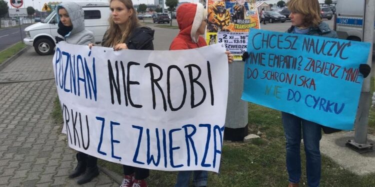 02.11.2019 Poznań. Protest przeciwko występom zwierząt w cyrku / Piotr Jaśkowiak / Radio Poznań