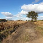 10.11.2019 Kazimierza Wielka. Budowa ścieżki rowerowej / Adam Bodzioch