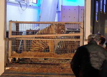 ZOO Poznań