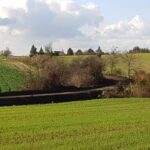 10.11.2019 Kazimierza Wielka. Budowa ścieżki rowerowej / Adam Bodzioch