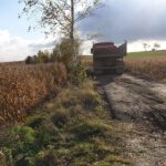 10.11.2019 Kazimierza Wielka. Budowa ścieżki rowerowej / Adam Bodzioch