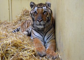 Zoo Poznań Official Site