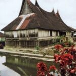 Sumatra / Danuta Rusała / Radio Kielce