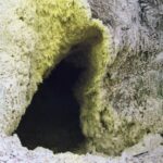 Sumatra / Danuta Rusała / Radio Kielce