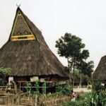 Sumatra / Danuta Rusała / Radio Kielce