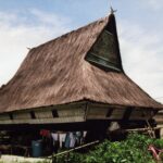 Sumatra / Danuta Rusała / Radio Kielce