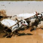 Sumatra / Danuta Rusała / Radio Kielce