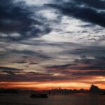 Borneo / Danuta Rasała