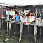 Borneo / Danuta Rasała