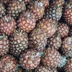 Borneo / Danuta Rasała