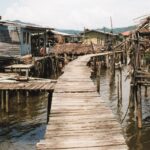 Borneo / Danuta Rasała